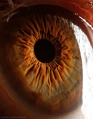 Illustration for article titled Extreme close-ups of human eyes look like craters on Mars